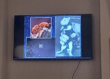 20221025_100133.jpg
