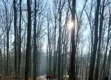 IMG-20230207-WA0007.jpg