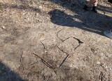 IMG-20230207-WA0018.jpg