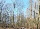 IMG-20230207-WA0009.jpg