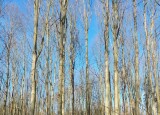 IMG-20230207-WA0010.jpg