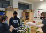 IMG_20201218_092820.jpg