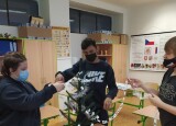 IMG_20201218_092752.jpg
