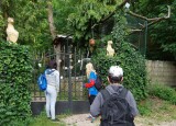 IMG-20230627-WA0036.jpg