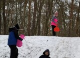 IMG_20210115_104244.jpg