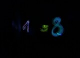 IMG_2795.jpeg