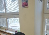 IMG_20231215_105015.jpg