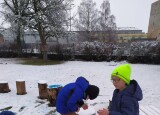 IMG-20240220-WA0036.jpg