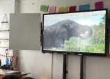 Chráníme planetu Zemi NEPZ (5).JPG