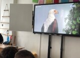 Chráníme planetu Zemi NEPZ (4).JPG