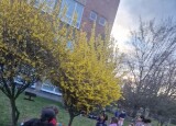 20240327_181747.jpg