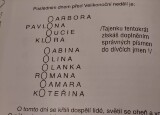 IMG-20240402-WA0031.jpg