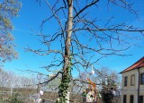 IMG-20240408-WA0008.jpg