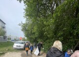 IMG_2909.jpeg