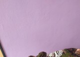 IMG-20240414-WA0014.jpg
