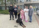 IMG_2984.jpeg