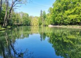 thumbnail_IMG_20210603_103544.jpg