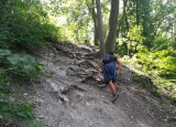 IMG_20210621_105608.jpg