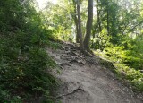 IMG_20210621_105559.jpg