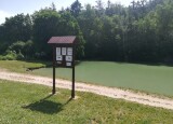 IMG_20210621_103758.jpg