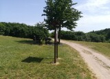 IMG_20210621_103822.jpg