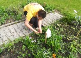 IMG_20210629_104428.jpg