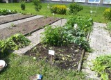 IMG_20210629_105618.jpg
