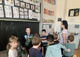 IMG_4816.jpeg