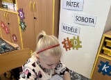 IMG_0730.jpeg