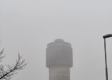 1000016465.jpg