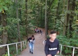 IMG_20210927_104957.jpg