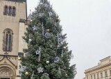 IMG_20211130_094744.jpg