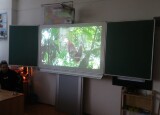 7e6b86b9-b0eb-4f48-8e8e-30fabb07de92.JPG