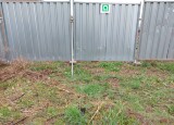 IMG-20220425-WA0077.jpg