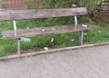 IMG-20220425-WA0095.jpg