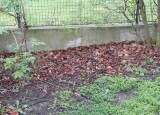 IMG-20220425-WA0101.jpg