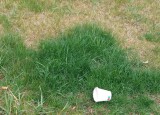 IMG-20220425-WA0106.jpg