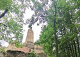 IMG_20220628_083902.jpg