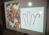 IMG_20201216_093339.jpg